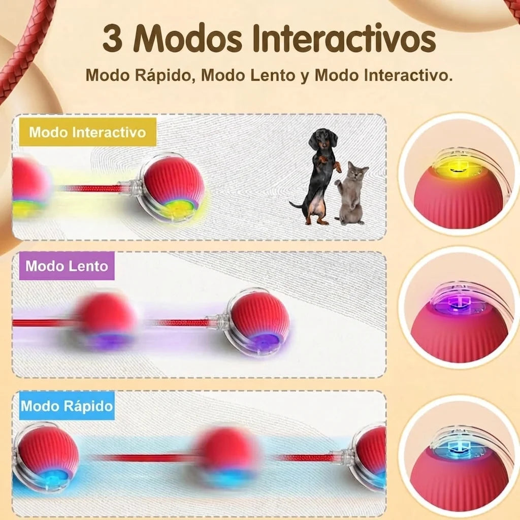 RoundPet - Juego automático para mascotas