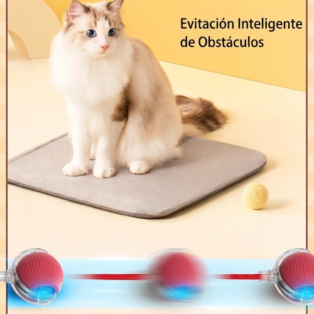 RoundPet - Juego automático para mascotas