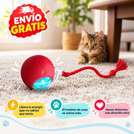 RoundPet - Juego automático para mascotas